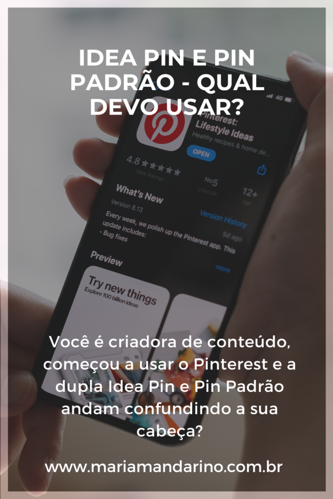 Idea Pin E Pin Padrão, Qual Devo Usar? - Maria Mandarino