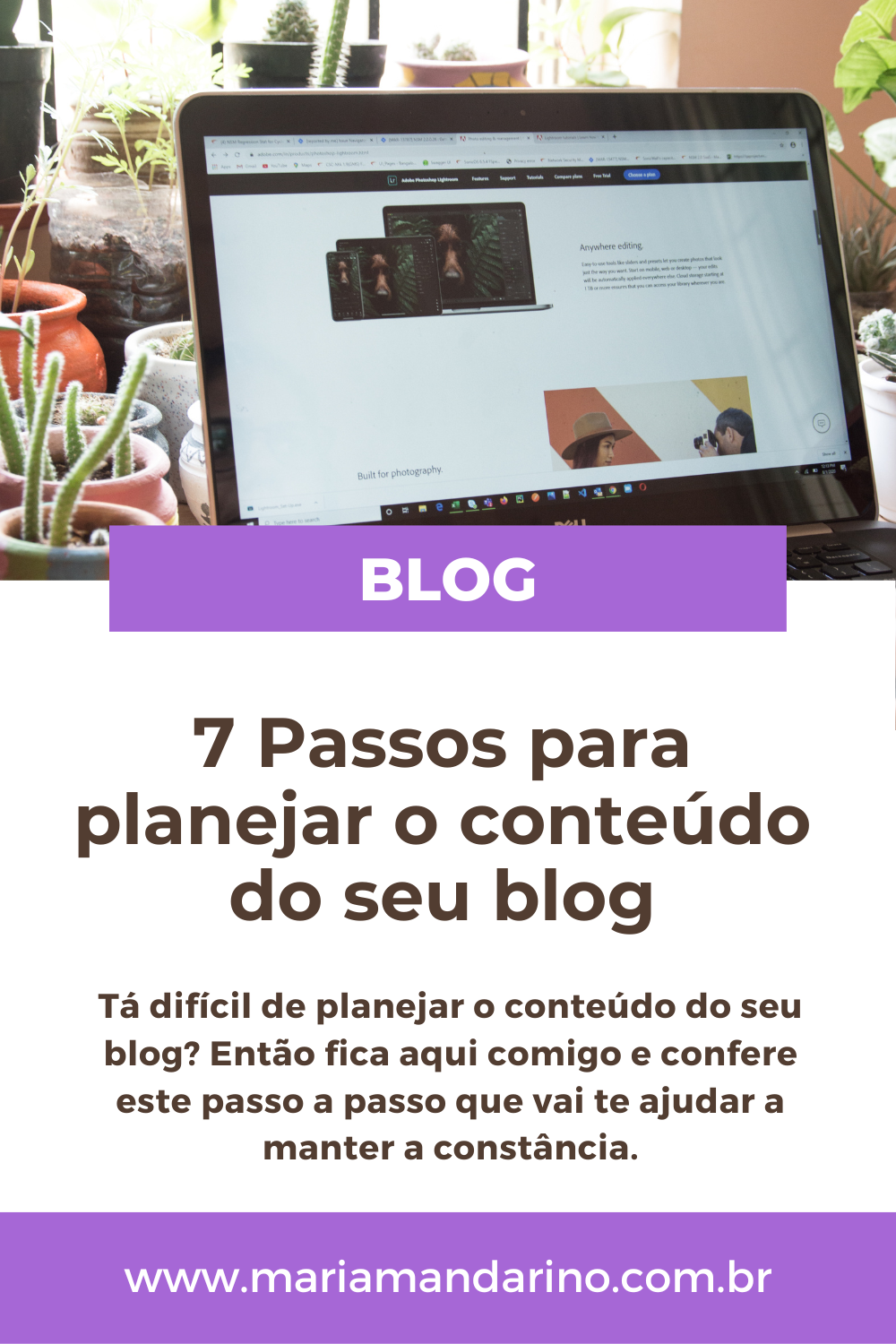 7 passos para planejar o conteúdo do seu blog - Maria Mandarino